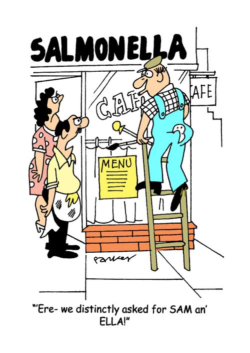 'Ere-we distinctly asked for SAM and ELLA!'!'