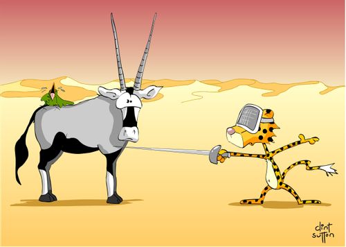 Marmalade the Cheetah swordfighting with Antelope.