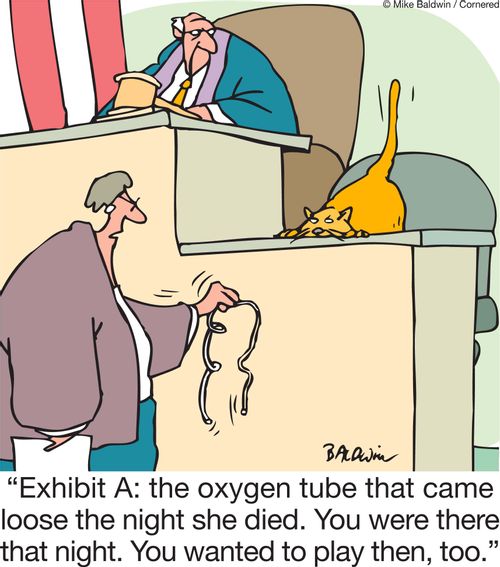 'Exhibit A: the oxygen tube that came loose the night she died. You were there that night. You wanted to play then, too.'