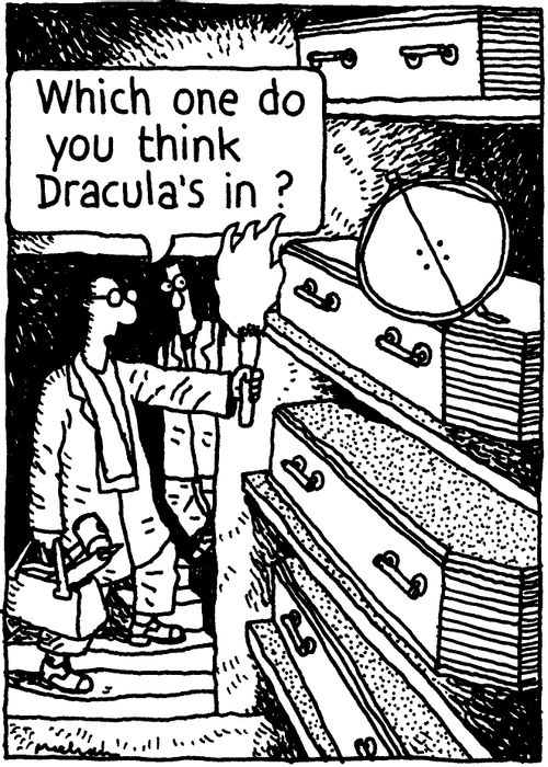 'Which one do you think Dracula's in?'