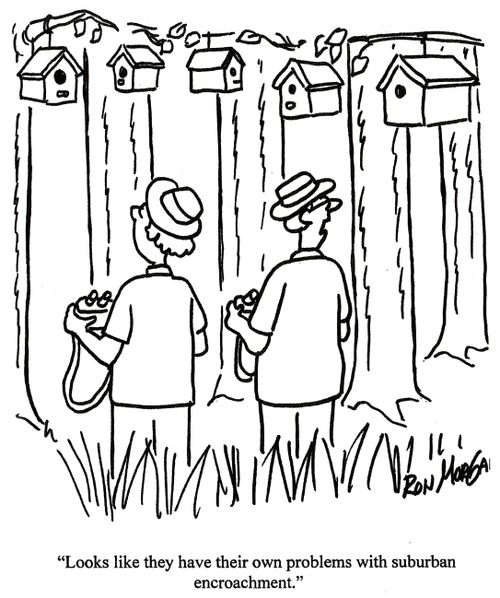 'Looks like they have their own problems with suburban encroachment.'