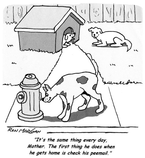 'It's the same thing every day, Mother. The first thing he does when he gets home is check his peemail.'