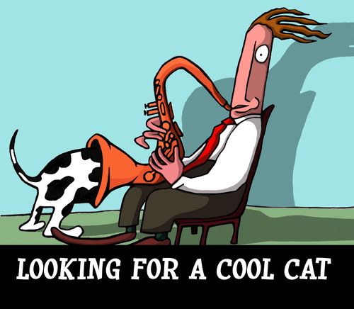 Looking for a cool cat.