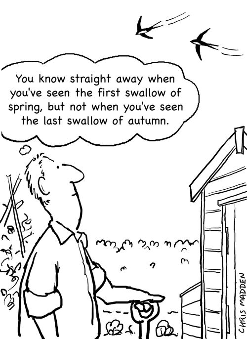 'You know straight away when you've seen the first swallow of spring, but not when you've seen the last swallow of autumn'