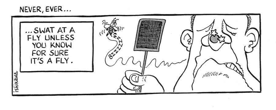 'Never, Ever...swat at a fly unless you know for sure it's a fly.'