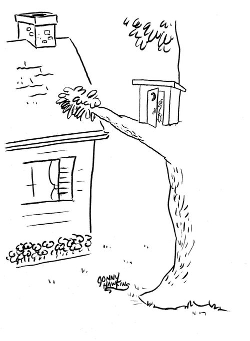Bird Outhouse