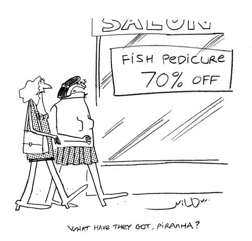 'What have they got, piranha?'