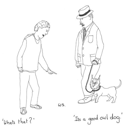 'It's a good owl dog.'