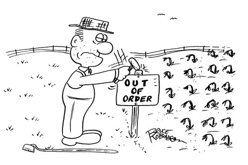 Disappointed farmer hammers OUT OF ORDER sign into field of wilted crops.