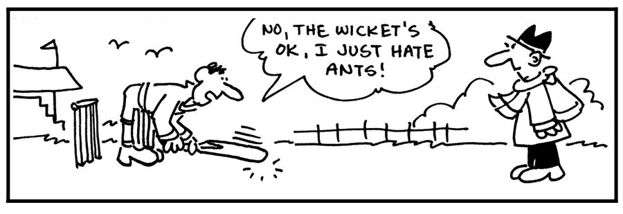 'No, the wicket's ok, I just hate ants.'