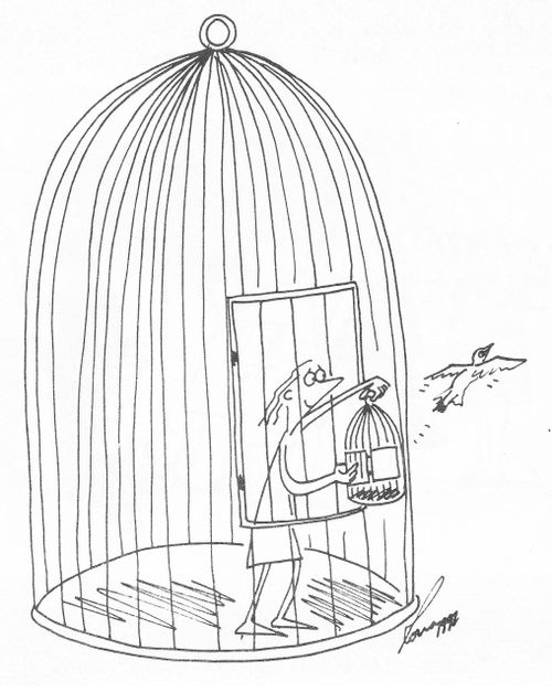 Caged Woman Releases Caged Bird.