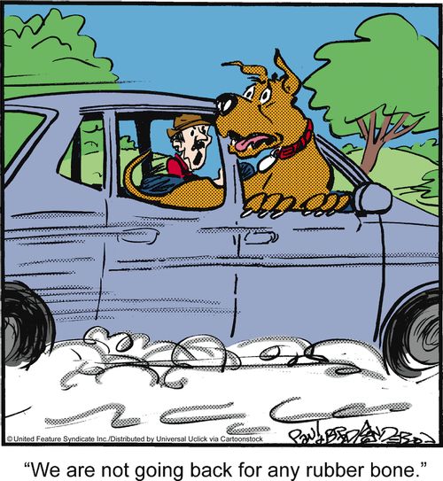 'We are not going back for any rubber bone.'