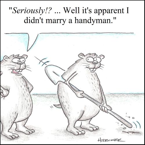 'Seriously!? ... Well it's apparent I didn't marry a handyman.'