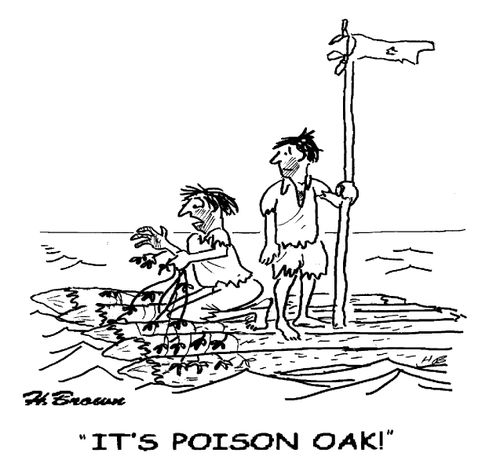'It's poison oak!'