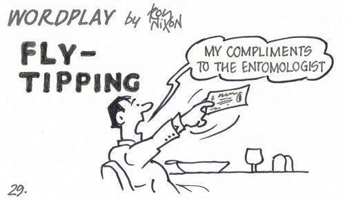 Wordplay: Fly-tipping.