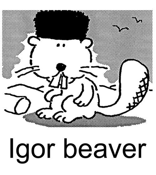 Igor beaver.