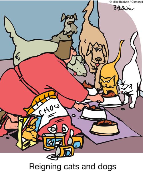 Reigning cats and dogs.