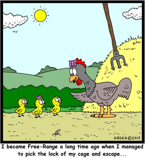 'I became Free-Range a long time ago when I managed to pick the lock of my cage and escape...'