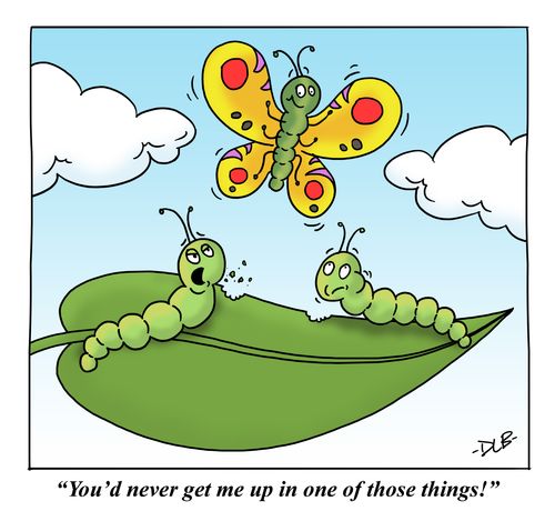 'You'd never get me up in one of those things!'
