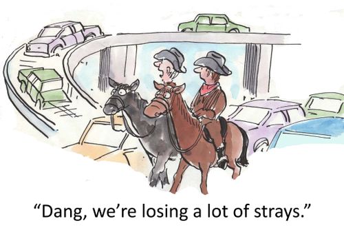 'Dang, we're losing a lot of strays.'
