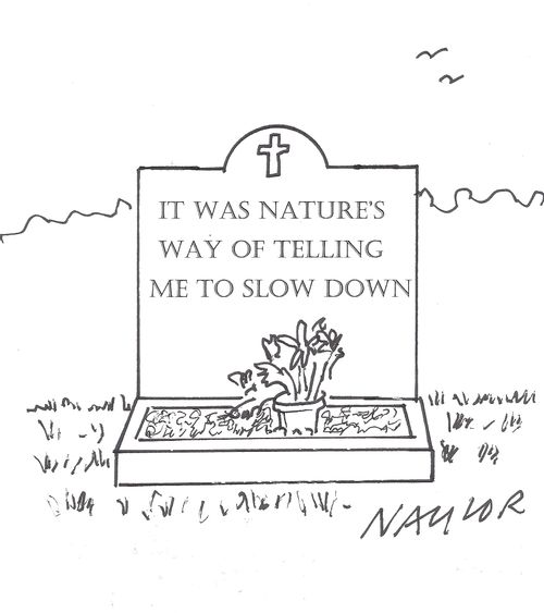 It was nature's way of telling me to slow down.