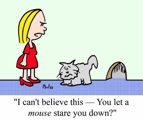 'I can't believe this - You let a MOUSE stare you down?'