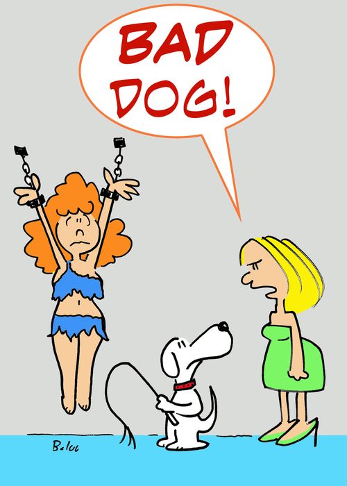 'Bad dog!'