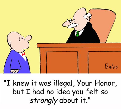 'I knew it was illegal, Your Honor, but I had no idea you felt so strongly about it.'
