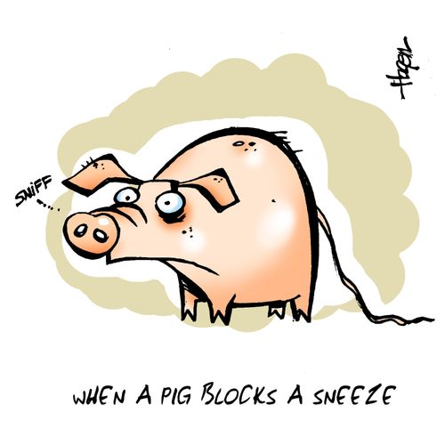When a pig blocks a sneeze.