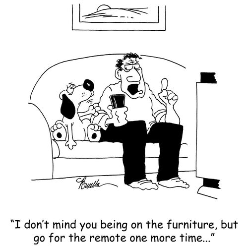 'I don't mind you being on the furniture, but go for the remote one more time...'