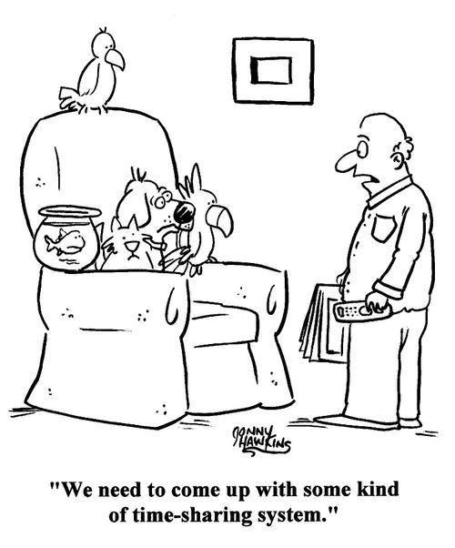 Pet owner to pets in chair: 'We need to come up with some kind of time-sharing system.'