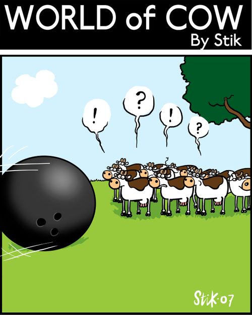 10 pin bowling cows.