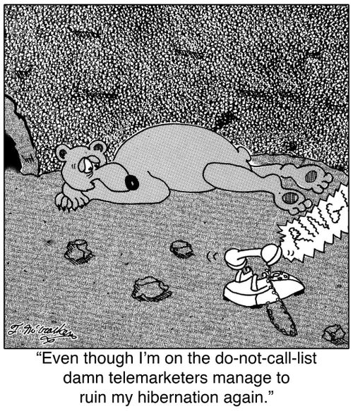 Even though I'm on the do-not-call-list telemarketers manage to ruin my hibernation again.
