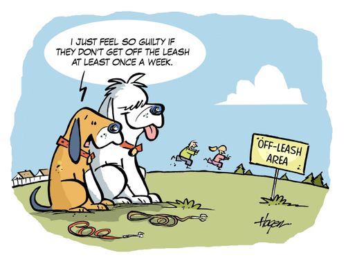 'I just feel so guilty if they don't get off the leash at least once a week.'