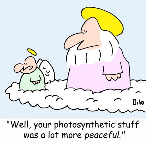 'Well, your photosynthetic stuff was a lot more peaceful.'