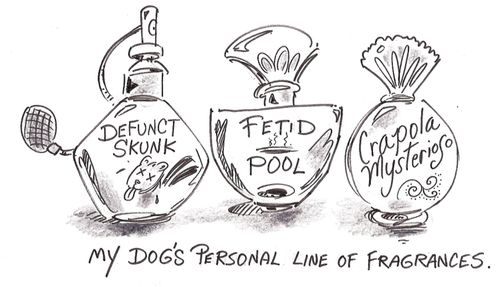 My dog's personal line of fragrances.