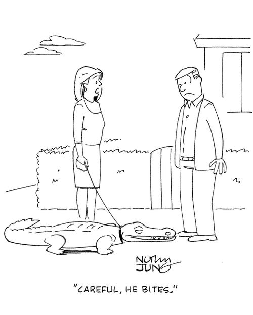 'Careful, he bites.'