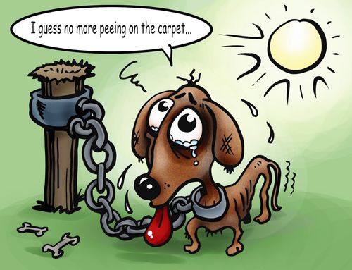 Dogs life