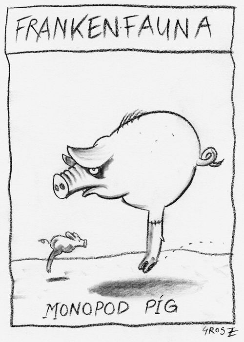 'Franken-fauna: Monopod Pig.'