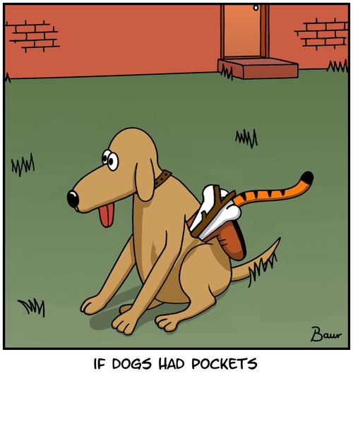 If dogs had pockets.