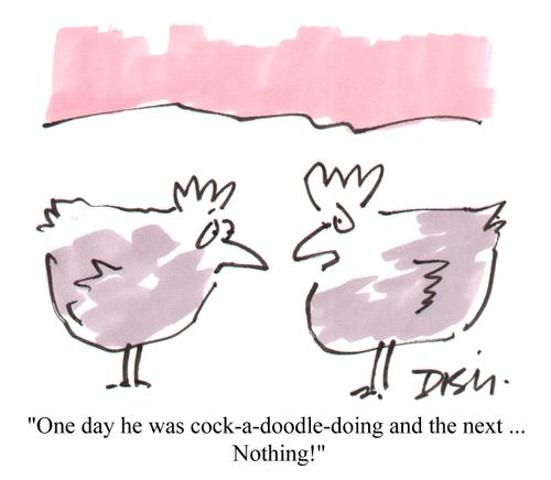 "One day he was cock-a-doodle-doing and the next...nothing."