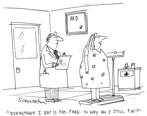 "Everything is fat-free. So why am I still fat?"
