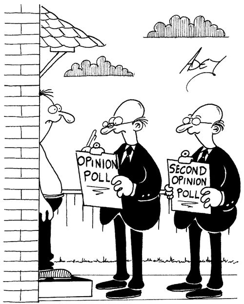 Opinion polls