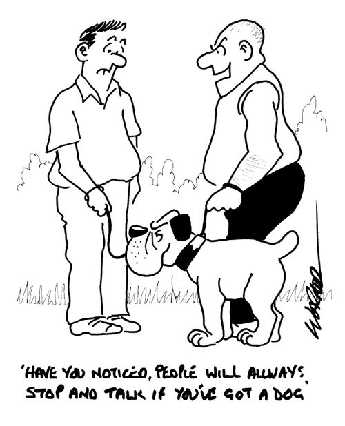 "Have you notice people will always stop and talk if you've got a dog"