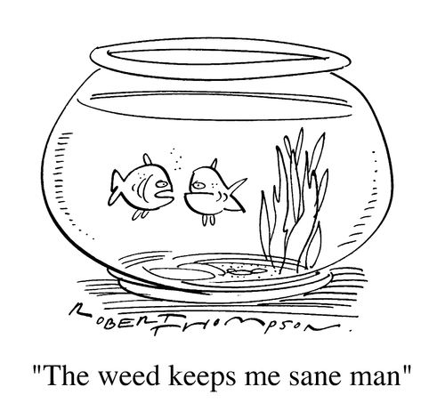 Fish bowl 1 "The weed keeps me sane man"