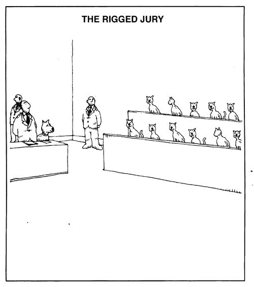 Dog defendant and cat jury - The Rigged Jury