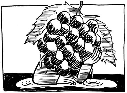 Sour Grapes