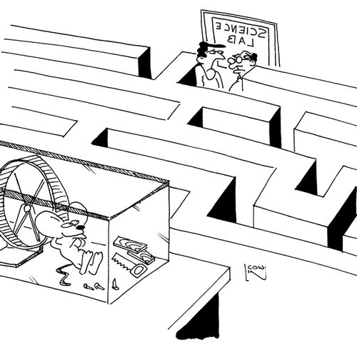maze