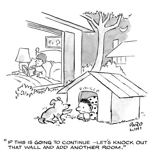 'If this is going to continue - le's knock out that wall and add another room.'