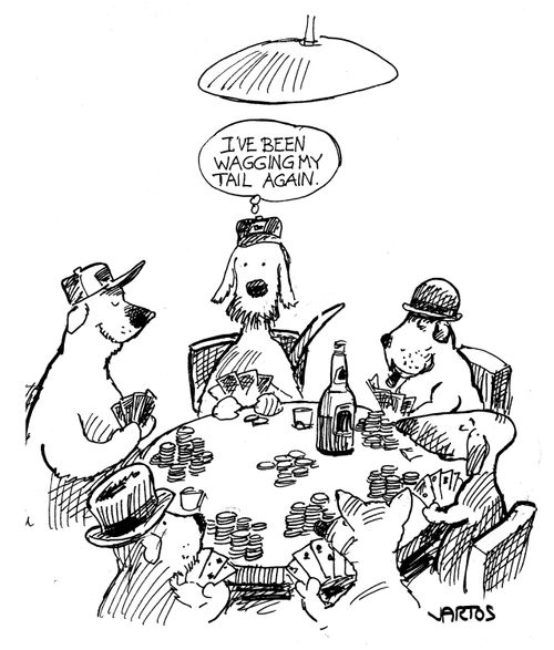 'I've been wagging my tail again.' Dog poker tells.